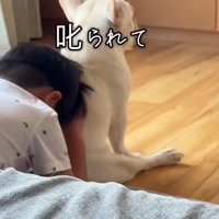 叱られて拗ねている男の子