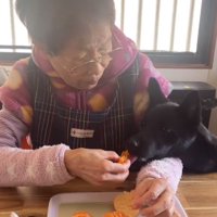 何度も食べるロイくん