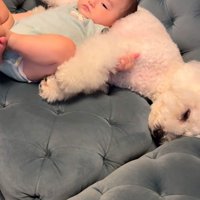 赤ちゃんと昼寝をするイヴちゃん