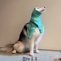 細すぎる…！！