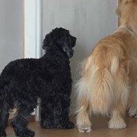 ドアの前に並んで待機