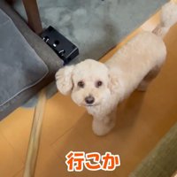 「早く行きたい」とお目目をキラキラ♪