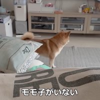 女の子を探してキョロキョロ