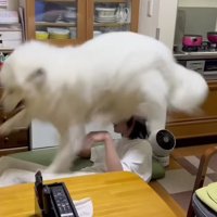 家の中も油断できません