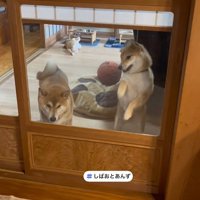 「僕も負けてられない！」