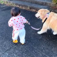 女の子とベルちゃんのお散歩5