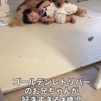 くっつくふたり