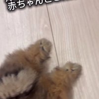 ピーンと伸びた後ろ足