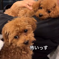 雲ちゃんも思わずブルブル