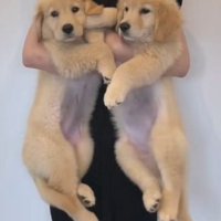 ちあちゃん＆ひまわりちゃんの成長3