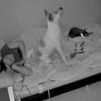 背筋を伸ばしていた