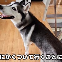 ついて行ってみると…？