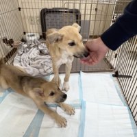 「おはようー！！」