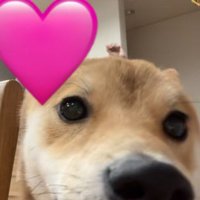 カメラをじーっと観察