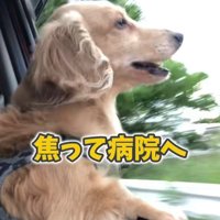 さらお君を病院に連れて行ったら4