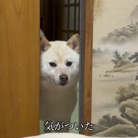 お兄ちゃんを発見
