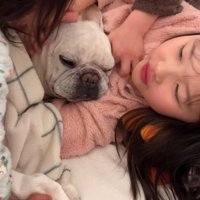 3人の子供に囲まれる犬