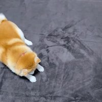 「まずは足裏を…」