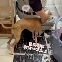 やっと会えた！