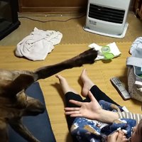 赤ちゃんの前で大きく前足を広げる犬