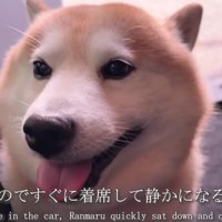 素敵なサプライズにホッコリ