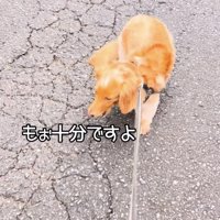 「30歩くらい歩いたし」