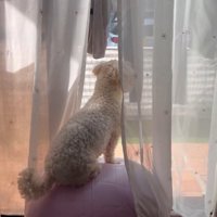 バランスボールに乗っている！？