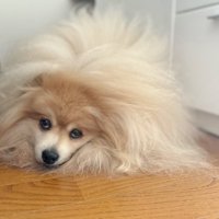 溶けてる