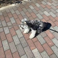全然動いてくれません…