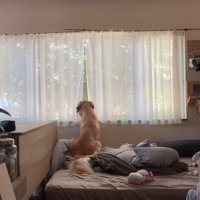 帰りを待つ姿に愛を感じます