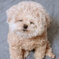 思わず頬が緩んでしまう