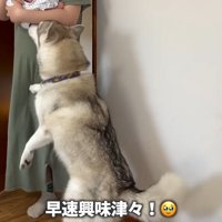 「それだあれ！？」