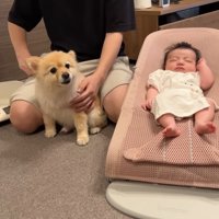 次は赤ちゃんの番です