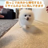嬉しそうな笑顔にほっこり