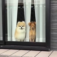 その隣には…
