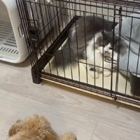 「これでおあいこ」