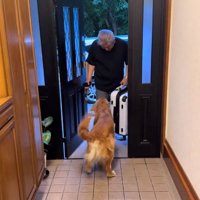 お出迎えするマッシュくん