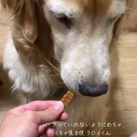 顔を背けるロイくん