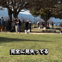 飼い主さんを間違えたピコちゃん