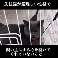 気難しい性格のよだれちゃん