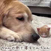 微笑ましいひととき