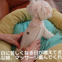 心良ちゃんをマッサージ
