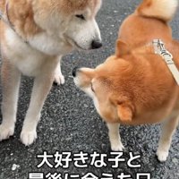 18歳のお友達「ハチ」ちゃん%歳のお友達「ハチ」くん