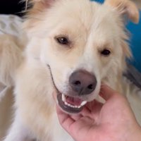 ぼーちゃんの変化⑩