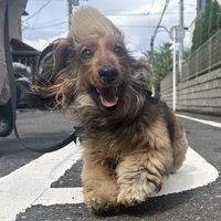 ニコニコ