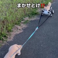 気遣い上手な凛ちゃん