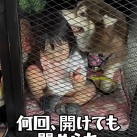 「ママはダメ！！」