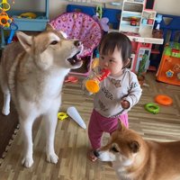 ロッキーくんと赤ちゃんの音楽会4