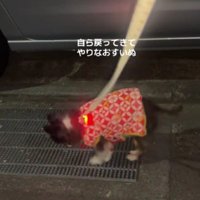 やっぱり正々堂々と戦いたい！！