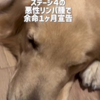 癌を患っていることが判明